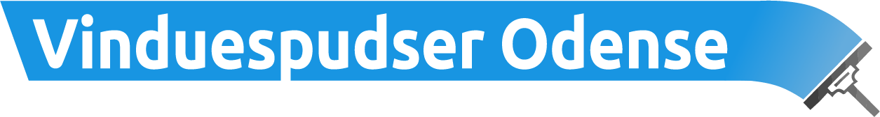 Vinduespudser Odense